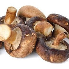 Färsk Shiitake Svamp 150g